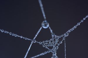 dark web
