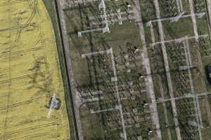 Tesserent optimises Lumo Energy’s revenue and operations through real-time intelligence