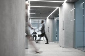 Professional Services